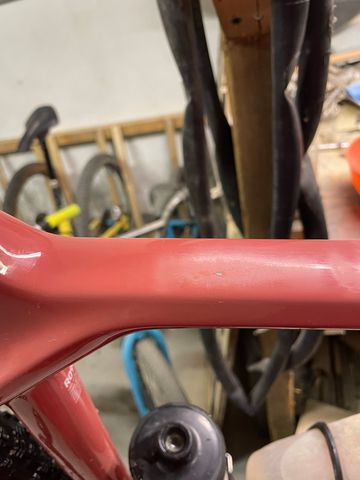 Brugt Canyon Grizl CF SL 8 1by 2024 Frameset 2024 Road & Gravel — billede 4 af 9