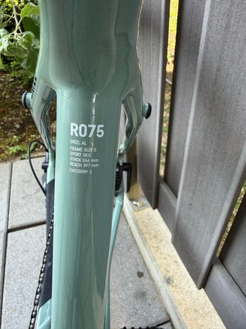 Used Canyon Grizl 8 1by 2024 2024 Road & Gravel, Verde — image 5 of 6
