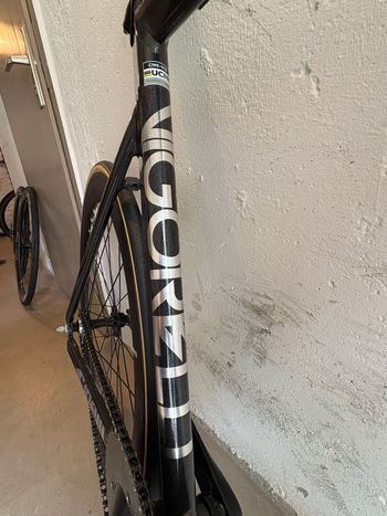 Used Cinelli Cinelli Custom Single Speed / Fixed Gear 2025 Road & Gravel, Light Gray — image 10 of 18