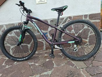 Used Orbea MX 24 DIRT 2022 2022 Mountainbike, Purple, 12, 16, 20, 24 — image 2 of 6
