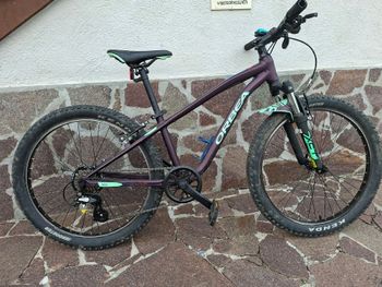 Used Orbea MX 24 DIRT 2022 2022 MTB