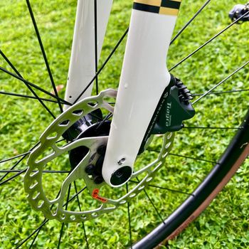 Used Trek Domane AL 4 Gen 4 2025 2025 Road & Gravel, Blanco — image 13 of 17
