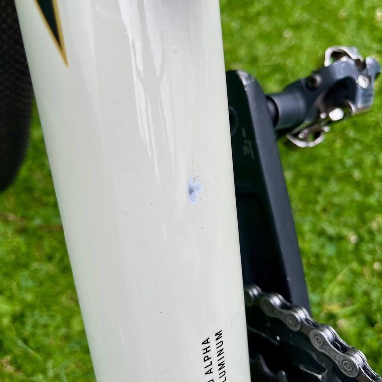 Used Trek Domane AL 4 Gen 4 2025 2025 Road & Gravel, Blanco — image 17 of 17