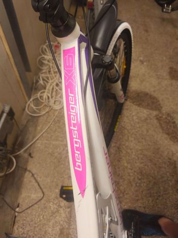 Used Bergsteiger Bergsteiger Custom Other Shimano 2023 Mountainbike, White — image 5 of 5