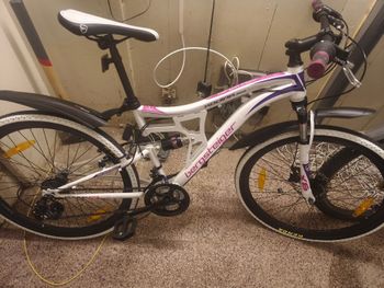 Used Bergsteiger Bergsteiger Custom Other Shimano 2023 MTB