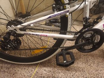 Used Bergsteiger Bergsteiger Custom Other Shimano 2023 Mountainbike, White — image 3 of 5