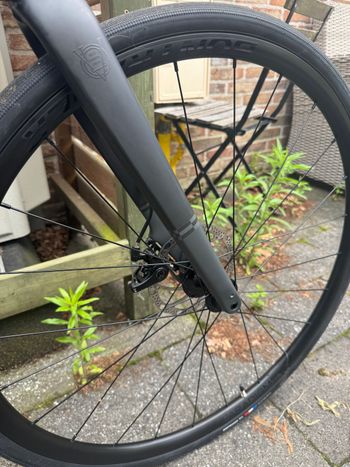 Used Trek Domane AL 2 Gen 4 2025 2025 Road & Gravel, Light Gray — image 8 of 8
