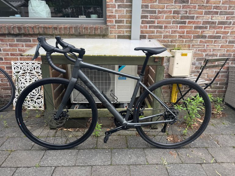 Used Trek Domane AL 2 Gen 4 2025 2025 Road & Gravel, Light Gray — image 1 of 8