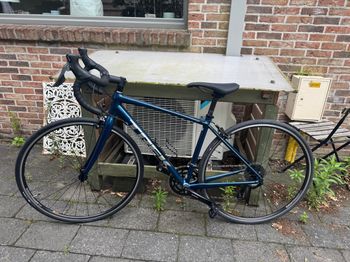 Used Trek Domane AL 2 2024 2024 Road & Gravel