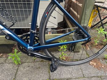 Used Trek Domane AL 2 2024 2024 Road & Gravel, Blau — image 4 of 8