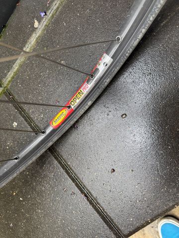 Used Specialized Specilaized Sirrus CH-MO Reynolds Tubing 1990 Road & Gravel, Red — image 8 of 11