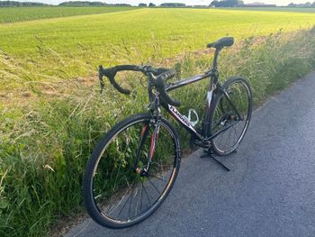 Used Flanders Flanders MP3 Cyclo-Cross 2012 Road & Gravel, Nero — image 12 of 36