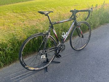 Used Flanders Flanders MP3 Cyclo-Cross 2012 Road & Gravel, Nero — image 19 of 36