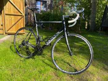 Used Canyon Ultimate AL 7.0 2012 Carretera y gravel