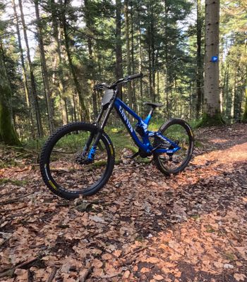 Used Canyon Sender AL 5.0 2019 2019 MTB