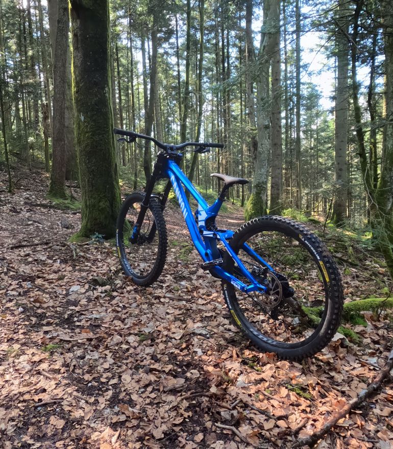 Used Canyon Sender AL 5.0 2019 2019 Mountainbike, Blu — image 2 of 5