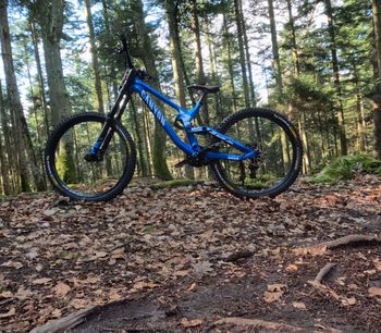 Used Canyon Sender AL 5.0 2019 2019 Mountainbike, Blu — image 3 of 5
