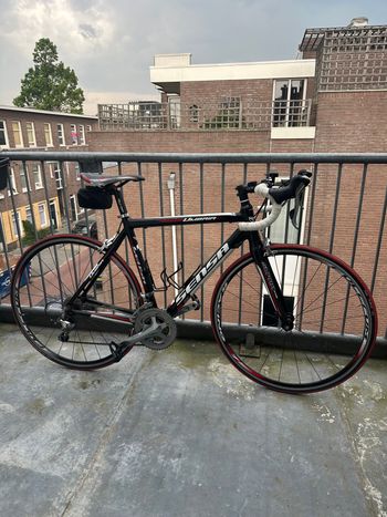 Used Sensa Umbria EN 14781 2015 Corsa & gravel