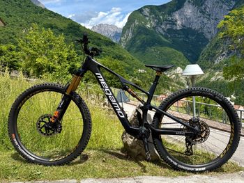 Used Megamo NATIVE 01 2025 2025 Mountainbike, Black — image 2 of 6