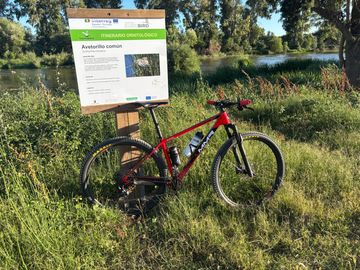 Brugt MMR Rakish 2019 2019 Mountainbike — billede 10 af 14