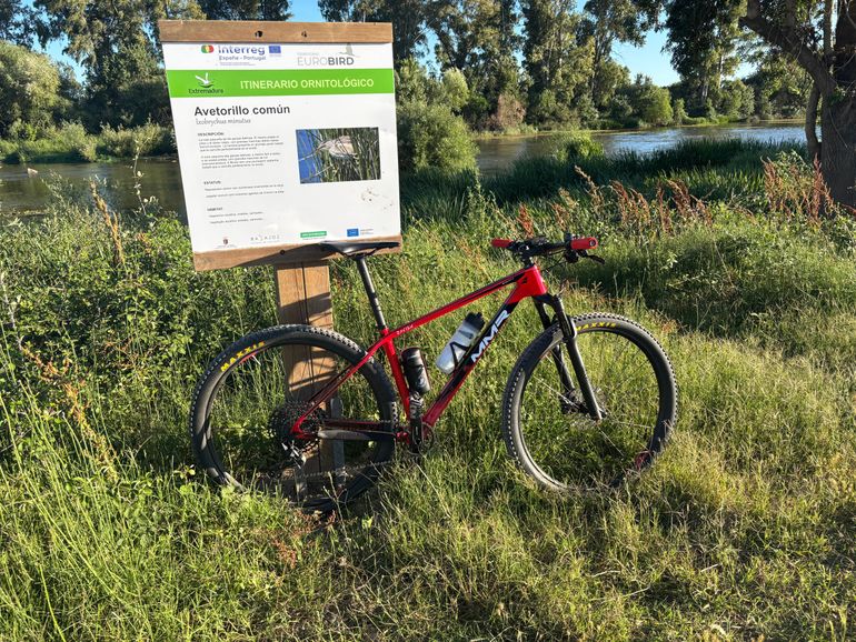 Used MMR Rakish 2019 2019 Mountainbike — image 10 of 14