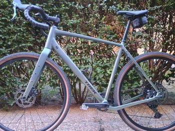 Used trek checkpoint alr4 2026 Trek checkpoint alr4 2026 Custom Shimano CUES 2026 Road & Gravel, Green — image 2 of 5