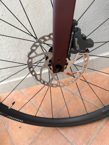 Used Specialized Roubaix SL8 - Shimano Tiagra 2024 2024 Road & Gravel — image 2 of 7