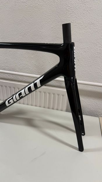 Used Giant TCR Advanced SL Disc Frameset 2024 Frameset 2024 Road & Gravel — image 5 of 11