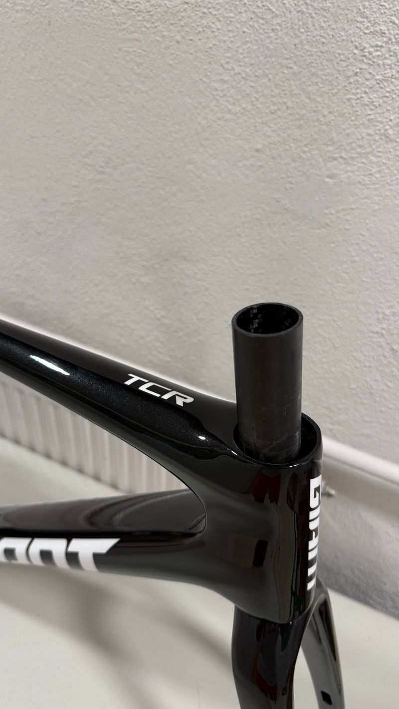 Used Giant TCR Advanced SL Disc Frameset 2024 Frameset 2024 Road & Gravel, Black — image 3 of 11
