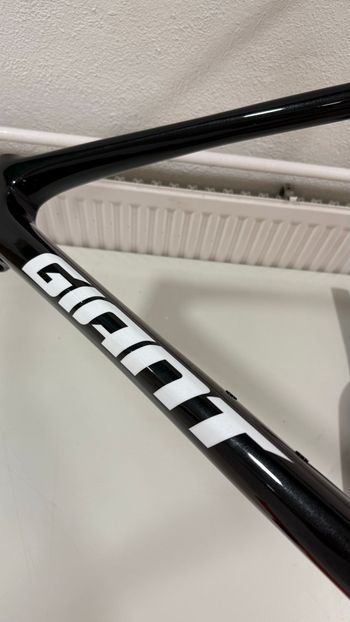 Used Giant TCR Advanced SL Disc Frameset 2024 Frameset 2024 Road & Gravel — image 4 of 11