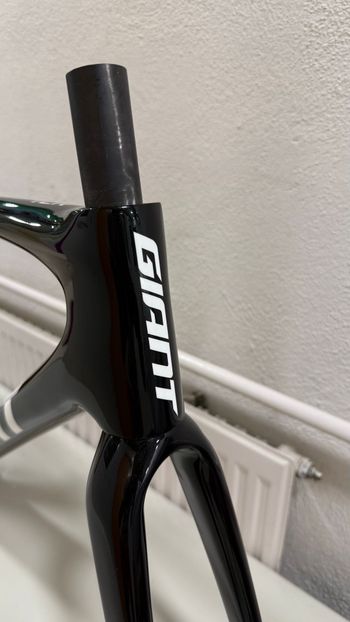 Used Giant TCR Advanced SL Disc Frameset 2024 Frameset 2024 Road & Gravel — image 2 of 11