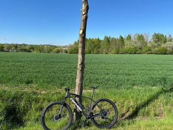 Used Cervélo ZHT-5 XX SL AXS 2025 2025 Mountainbike, Black, 29 — image 13 of 13