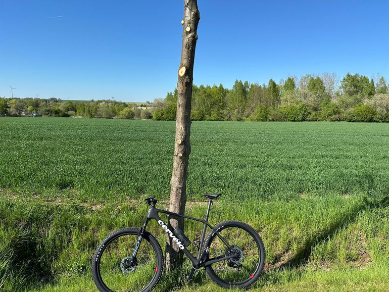 Used Cervélo ZHT-5 XX SL AXS 2025 2025 Mountainbike, Black, 29 — image 13 of 13
