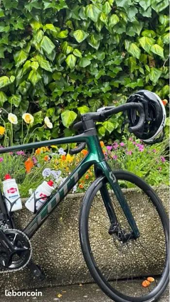 Used Scott Addict 20 2024 2024 Road & Gravel