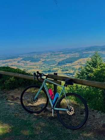 Used Canyon Endurace 6 2023 2023 Racefiets & gravel
