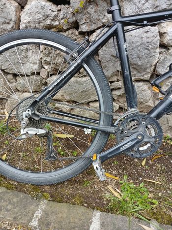 Used Moser MOSER 2005 Urban, Black — image 5 of 6