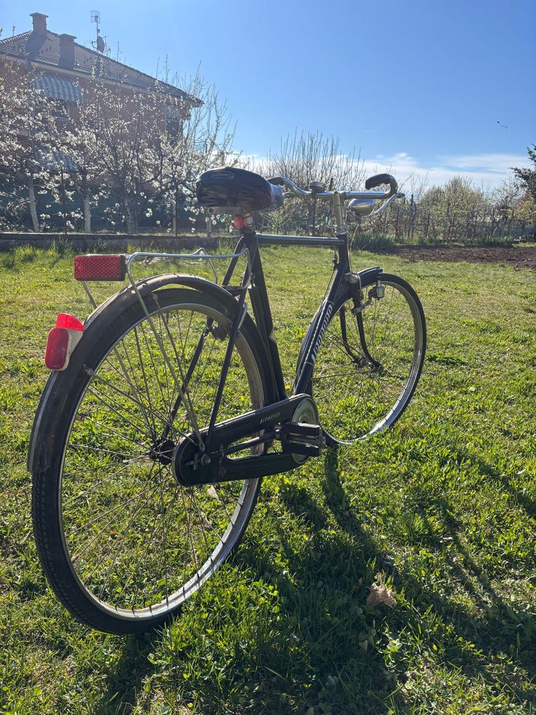 Used Legnano Legnano Custom Urban — image 3 of 9