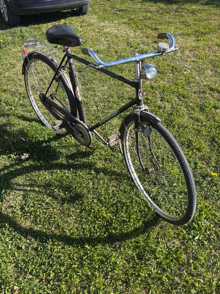 Used Legnano Legnano Custom Urban — image 4 of 9