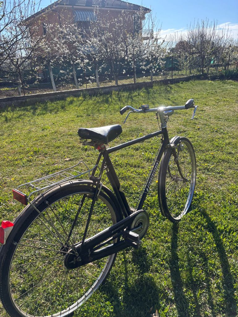 Used Legnano Legnano Custom Urban — image 1 of 9