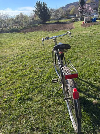 Used Legnano Legnano Custom Urban — image 9 of 9