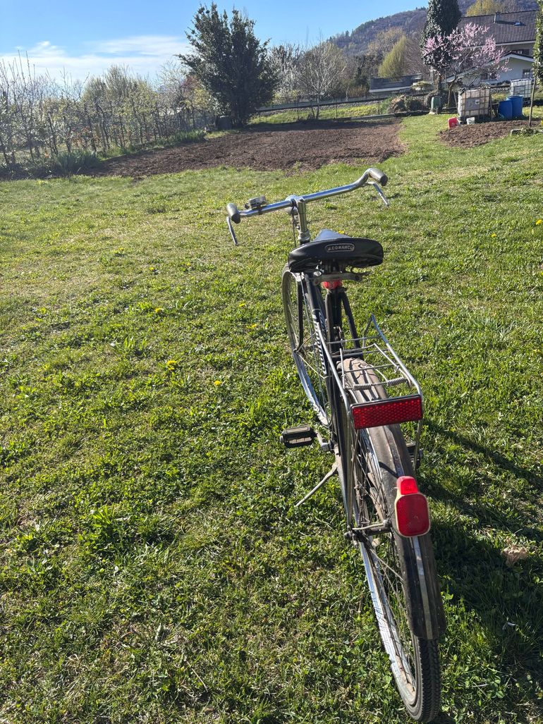 Used Legnano Legnano Custom Urban — image 9 of 9