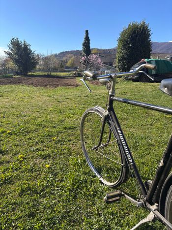 Used Legnano Legnano Custom Urban — image 8 of 9