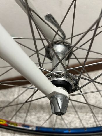 Used Colnago Master Other Campagnolo 2000 Road & Gravel, Blu — image 28 of 35