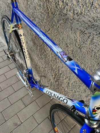 Used Colnago Master Other Campagnolo 2000 Road & Gravel, Blu — image 5 of 35