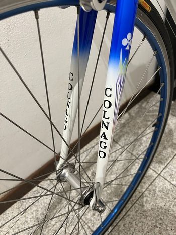 Used Colnago Master Other Campagnolo 2000 Road & Gravel, Blu — image 14 of 35