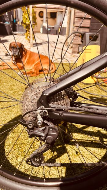 Used jools Jools Custom Shimano Deore XT 2020 Mountainbike, Black — image 3 of 5