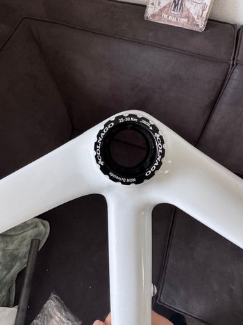 Used Colnago CLX EVO 2019 Frameset 2019 Road & Gravel, White — image 6 of 10