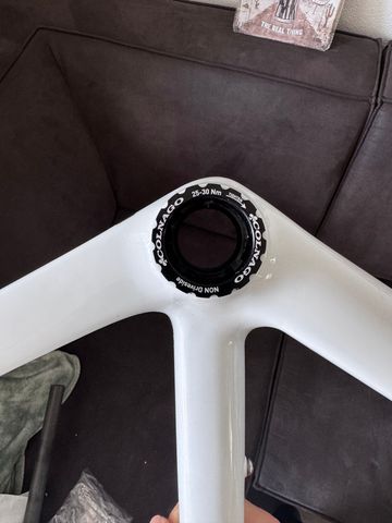 Used Colnago CLX EVO 2019 Frameset 2019 Road & Gravel, White — image 4 of 10