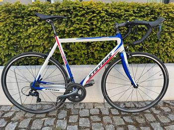 Used Stevens Stevens Izoard Lite 2010 Road & Gravel