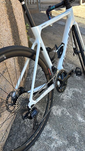Used Bianchi Sprint 105 2025 2025 Road & Gravel, White — image 13 of 13